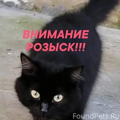 ‼️ВНИМАНИЕ РОЗЫСК‼️ Важна люба...