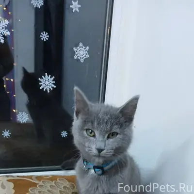 Всем доброго времени суток! Пр...