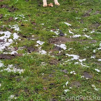 Всем доброго вечера. У нас во....