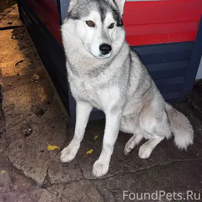 На станции возле жд вокзала пр...