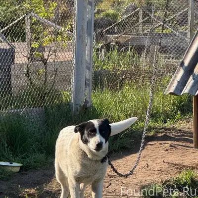 И снова побег, но уже с...