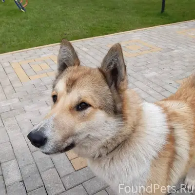 В 22.11 утром в Вещево...