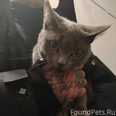 На мира 30а 1 подъезд 21...