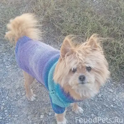 #Бгдпомоги Добрый вечер, потер...