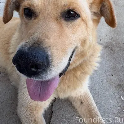 23.11.25 п. Подосинки была...