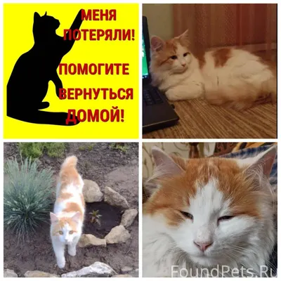 Михайловск ул. Комсомольская,п...