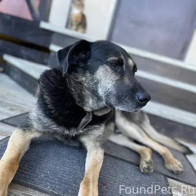 ‼️ВНИМАНИЕ РОЗЫСК‼️ Два года н...