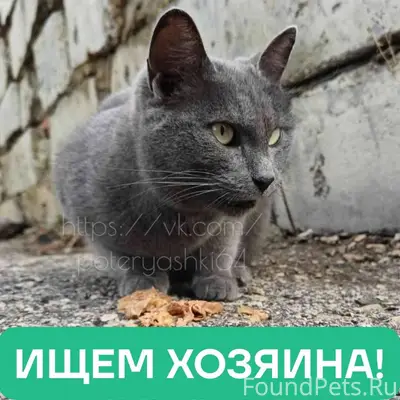 Саратов, улица Одесская, в рай...