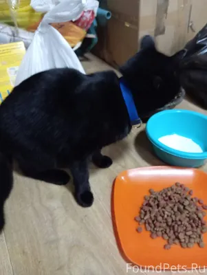 !!!!СРОЧНО! СРОЧНО! СРОЧНО!!!!...