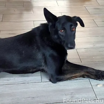 Пожалуйста максимальный репост...