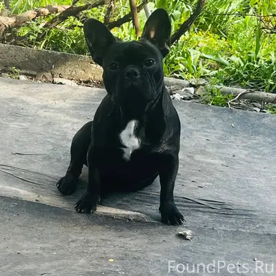 Ребят помогите может кто видел...