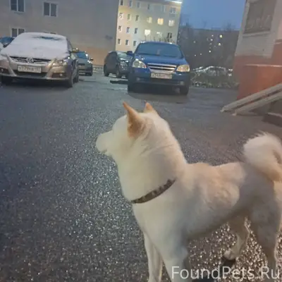 Г. Ногинск, ул. Новая, 12 Поте...