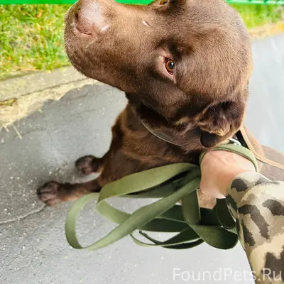 23.11.2025 примерно в 10...