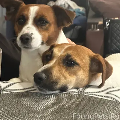 Моя самая большая 😭 боль. Мы.....