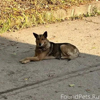 Ржев!! На одной из баз на...