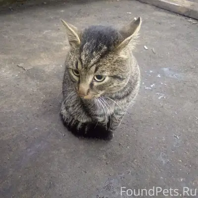 В районе гаражей (ивачево 2, м...