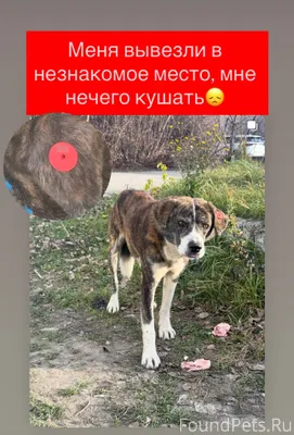 🆘Ставрополь и ближайшие населе...