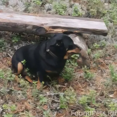 Сегодня 24.11.2025 на Красном....