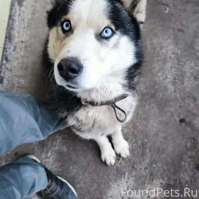 На грузовой автомойки на МРБ п...