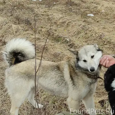 Здравствуйте! Сегодня в Березн...