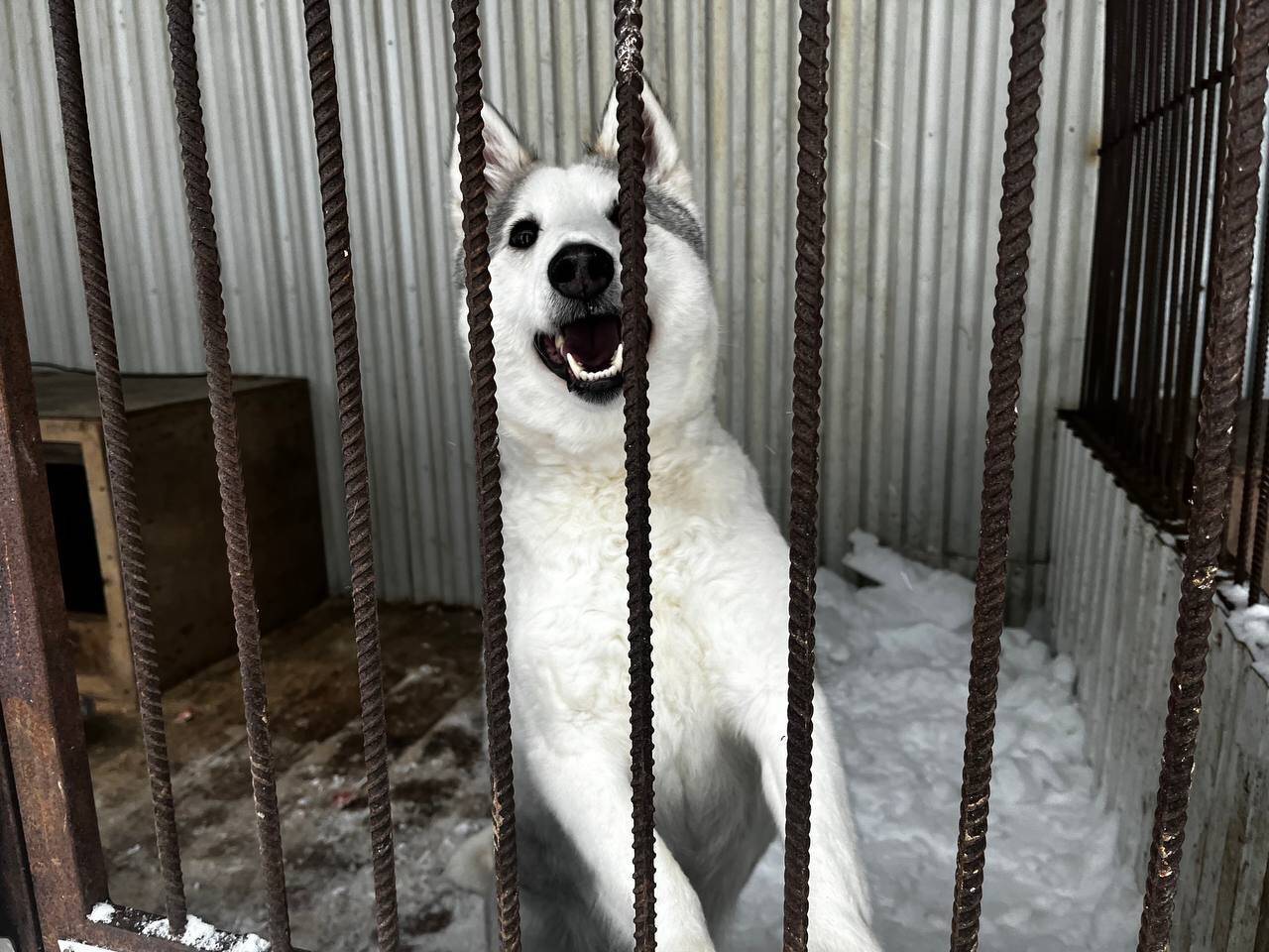 Просьба всем друзья, пропала с...