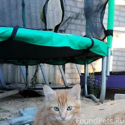 Всем добрый вечер! Буду призна...