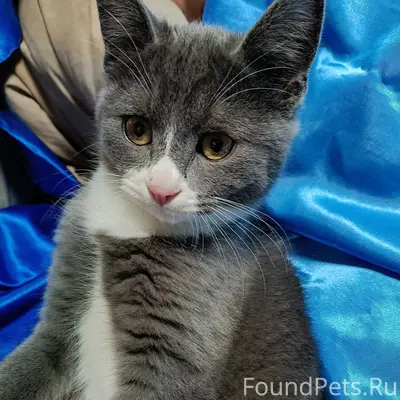 На проспекте Строителей найден...