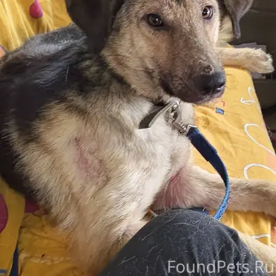 В Луховицах, в подъезде найден...