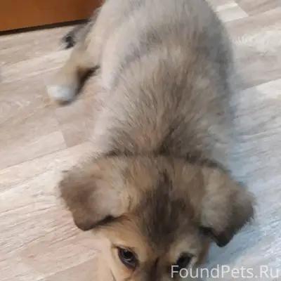 ИНФОРМАЦИОННАЯ ПОДДЕРЖКА: Я на...