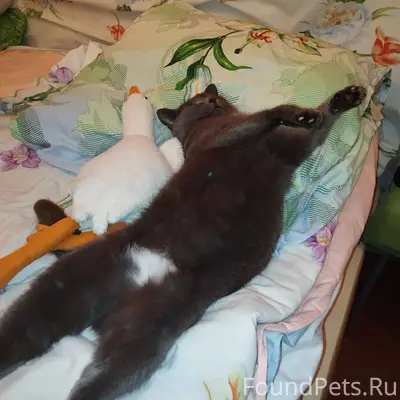 В воскресенье (23.11) пропала ...