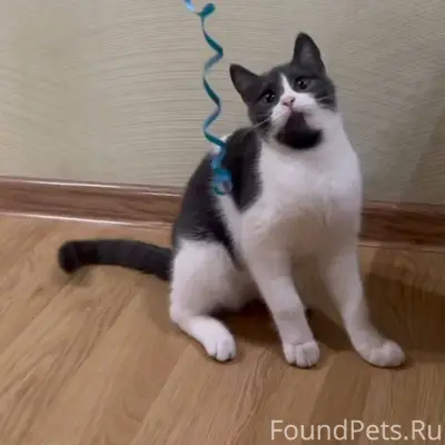 Несколько дней назад найдена к...