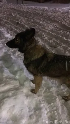 🆘🆘🆘🆘 🤬🤬🤬 Только что возле мусо...