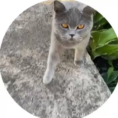 Найден британец в с. Ишеево. К...