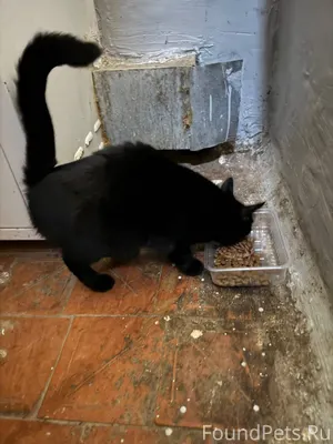 ‼️Октябрьский может у кого убе...