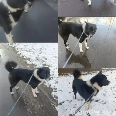 22.11.2025 Найден.Придержан до...