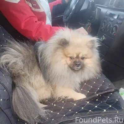 Опубликуйте пожалуйста 🙏 Найде...