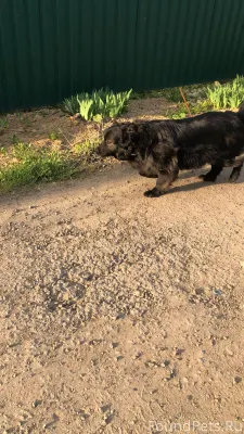 Вчера в районе СНТ «Аваитор пл...