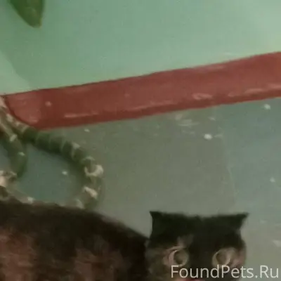 🆘🆘🆘Боровск🆘🆘🆘 ул. Свободы, д. ...