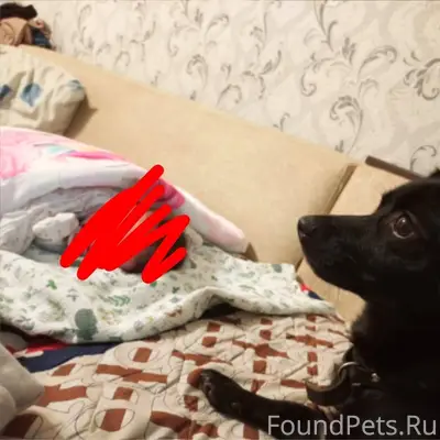 Добрый вечер, подскажите пожал...