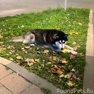 В районе Центрального рынка пе...