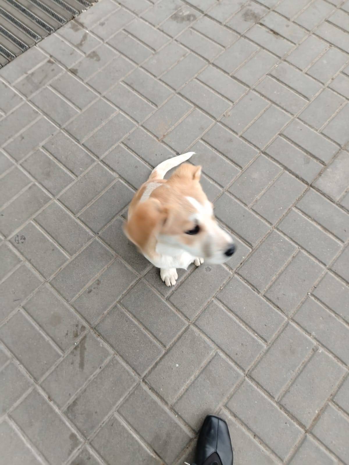 Добрый день! У ТЦ «ПланетаЛето...