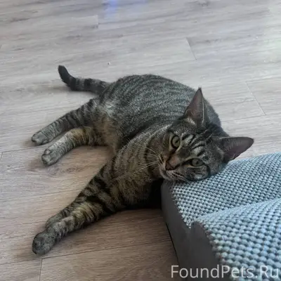 !!! Прошу помогите найти !!! П...