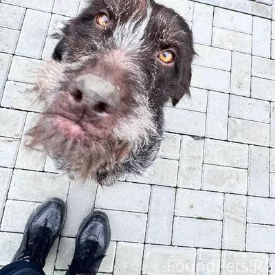 Здравствуйте. В районе микрора...