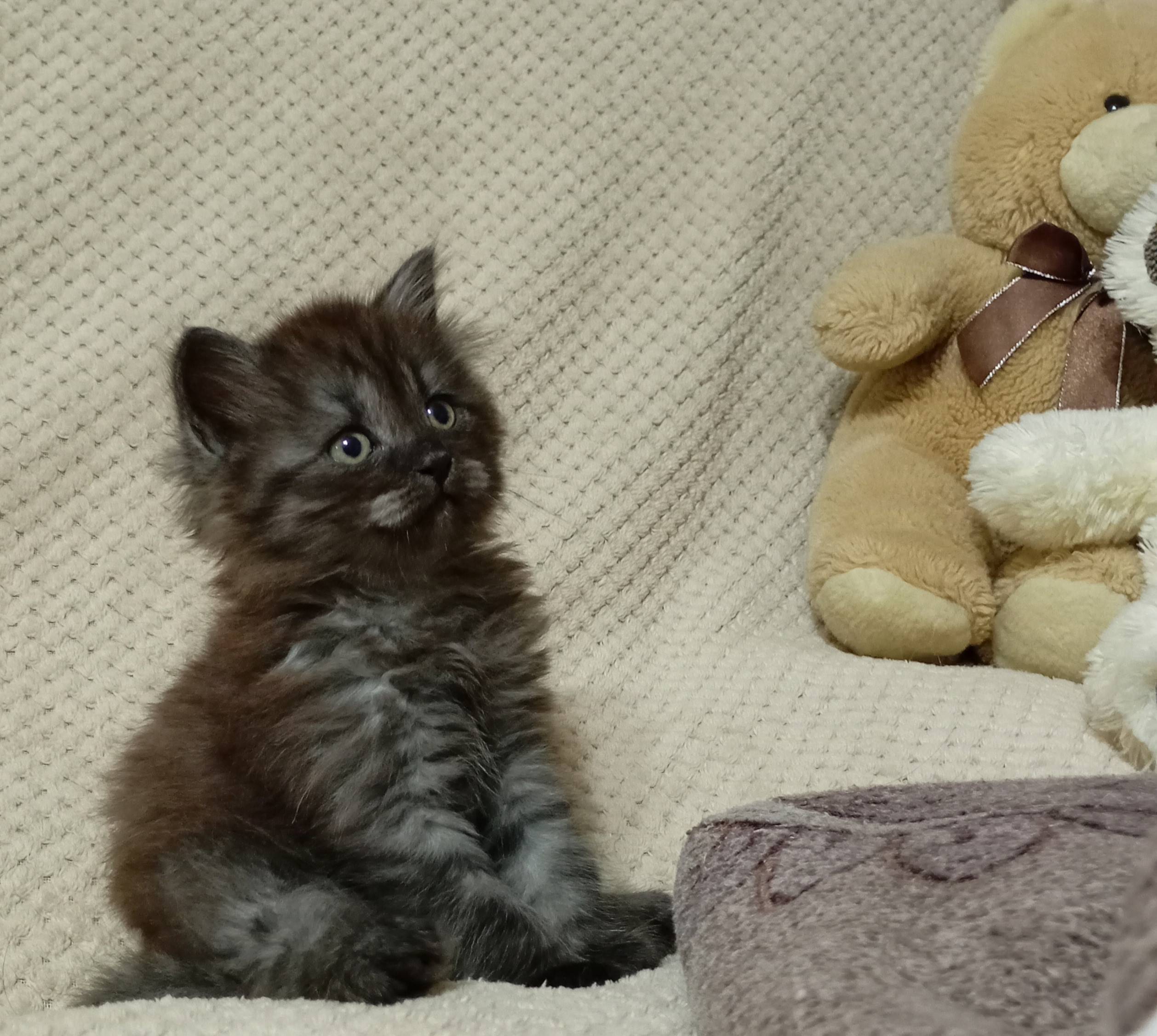 Вчера вечером на улице Советск...