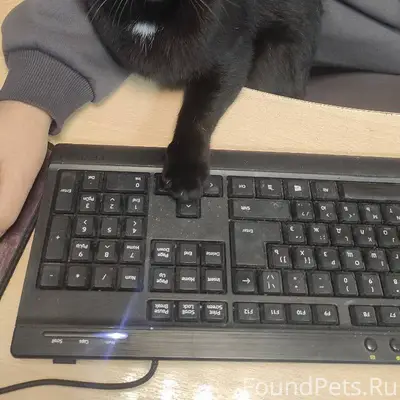 🌟Дзержинск, район Сеймы, Волод...