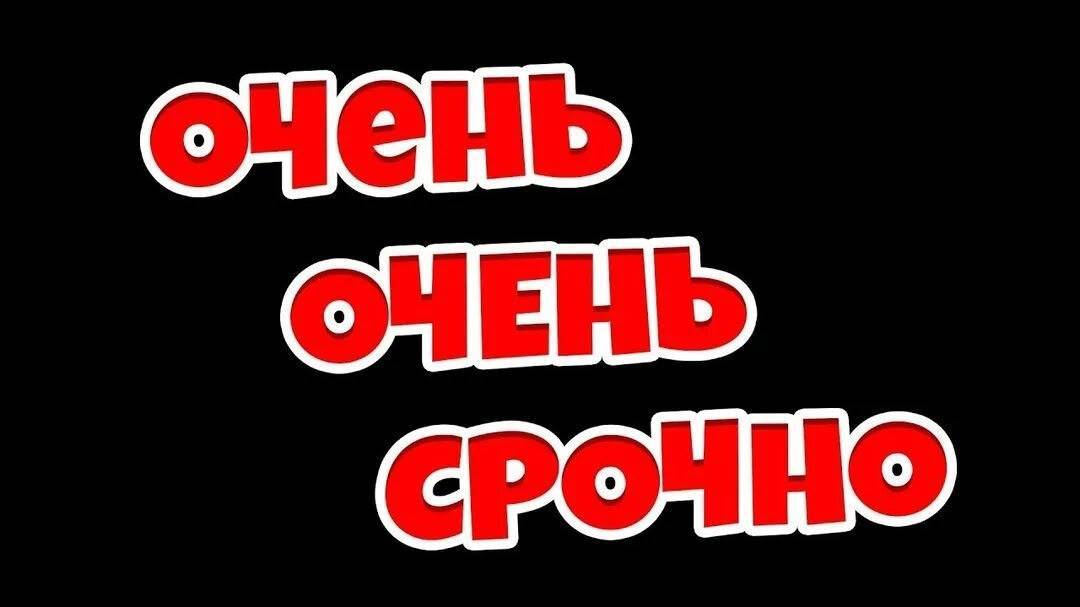 Срочно! Убежал пёс в районе на...