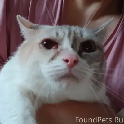 27.12. под балконом дома по...