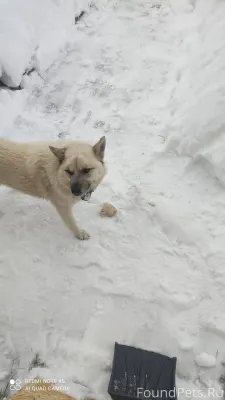 Здравствуйте! 17 ноября от дер...