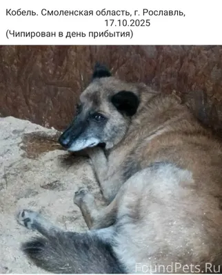 Г. Рославль (Но может быть где...