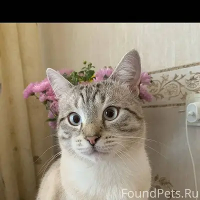 Здравствуйте! В субботу днём в...